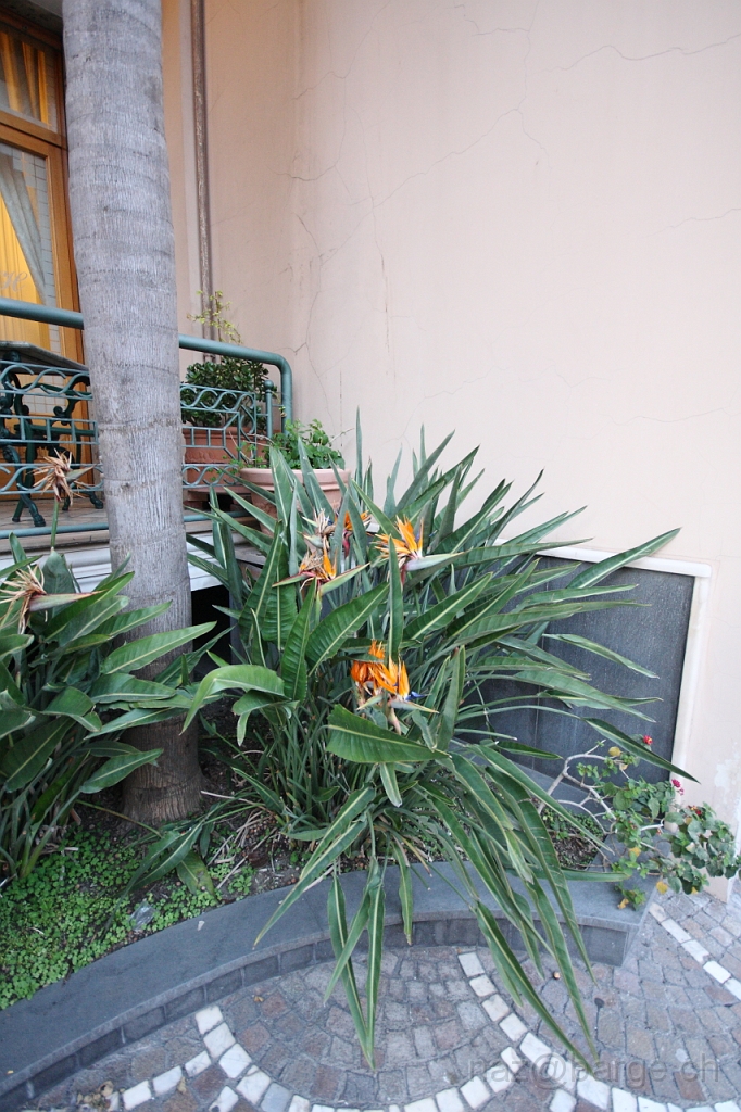 EOS 40D03_05_20120334.JPG